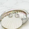 Abalone Seashell Stud Earring