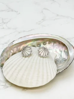 Abalone Seashell Stud Earring