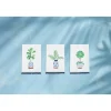 Blue Potted Plant Towels by Mud Pie