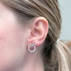 Crystal Crown Stud Earrings - Silver