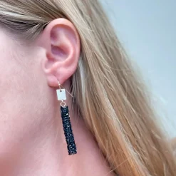 Crystal Encrusted Straight Dangle Earrings - Black