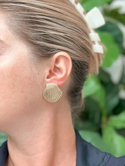 Gold Plated Shell Stud Earrings
