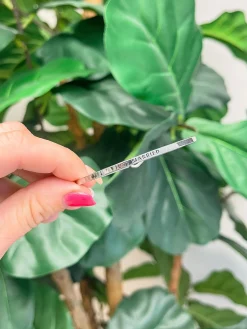 'Just Married' Cuff Bracelets