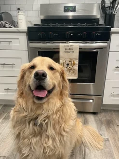 'Love My Golden Retriever' Dish Towel
