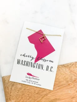 Petite State Outline Pendant Necklaces by Lucky Feather - DC