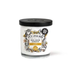 Pet~Pourri Dog Canine Coconut 2-in-1 Candle by ~Pourri