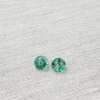 Pressed Flower Acrylic Stud Earrings - Green