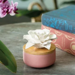 Rose Porcelain Passive Diffuser