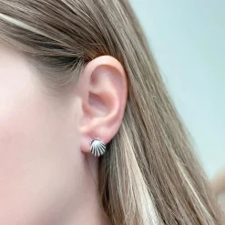 Silver Seashell Stud Earrings