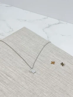 State of Texas Necklace & Earrings Set - Silver