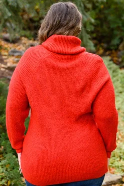 Steady Pace Roll Neck Sweater In Red