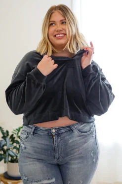 Velvet Icon Hoodie In Grey Blue