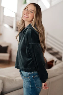 Velvet Icon Hoodie In Grey Blue