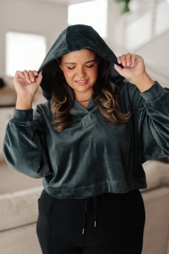 Velvet Icon Hoodie In Grey Blue