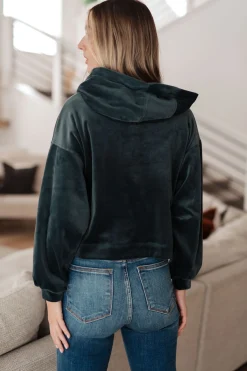 Velvet Icon Hoodie In Grey Blue