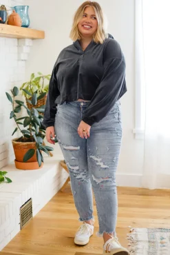 Velvet Icon Hoodie In Grey Blue