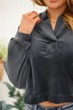 Velvet Icon Hoodie In Grey Blue