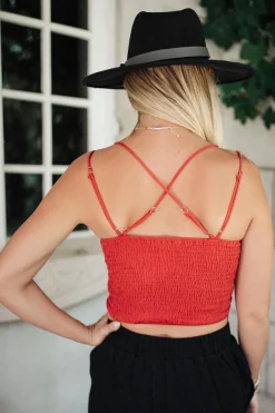 Wild And Free Crop Top in Rust